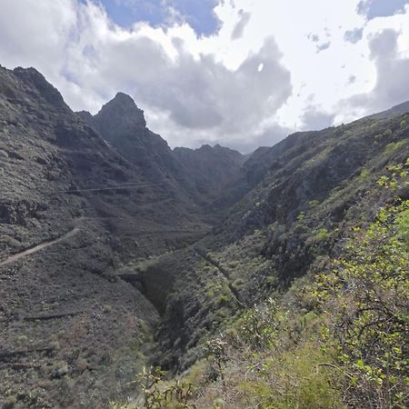 Loft Cerca Del Mar Tenerife Punta Del Hidalgo Kültér fotó