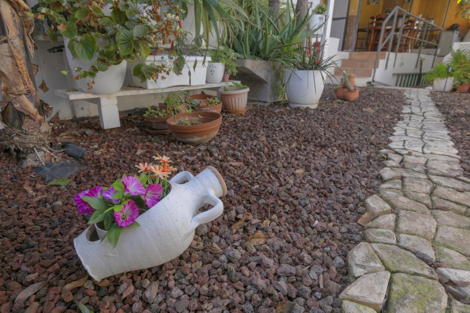 Loft Cerca Del Mar Tenerife Punta Del Hidalgo Kültér fotó